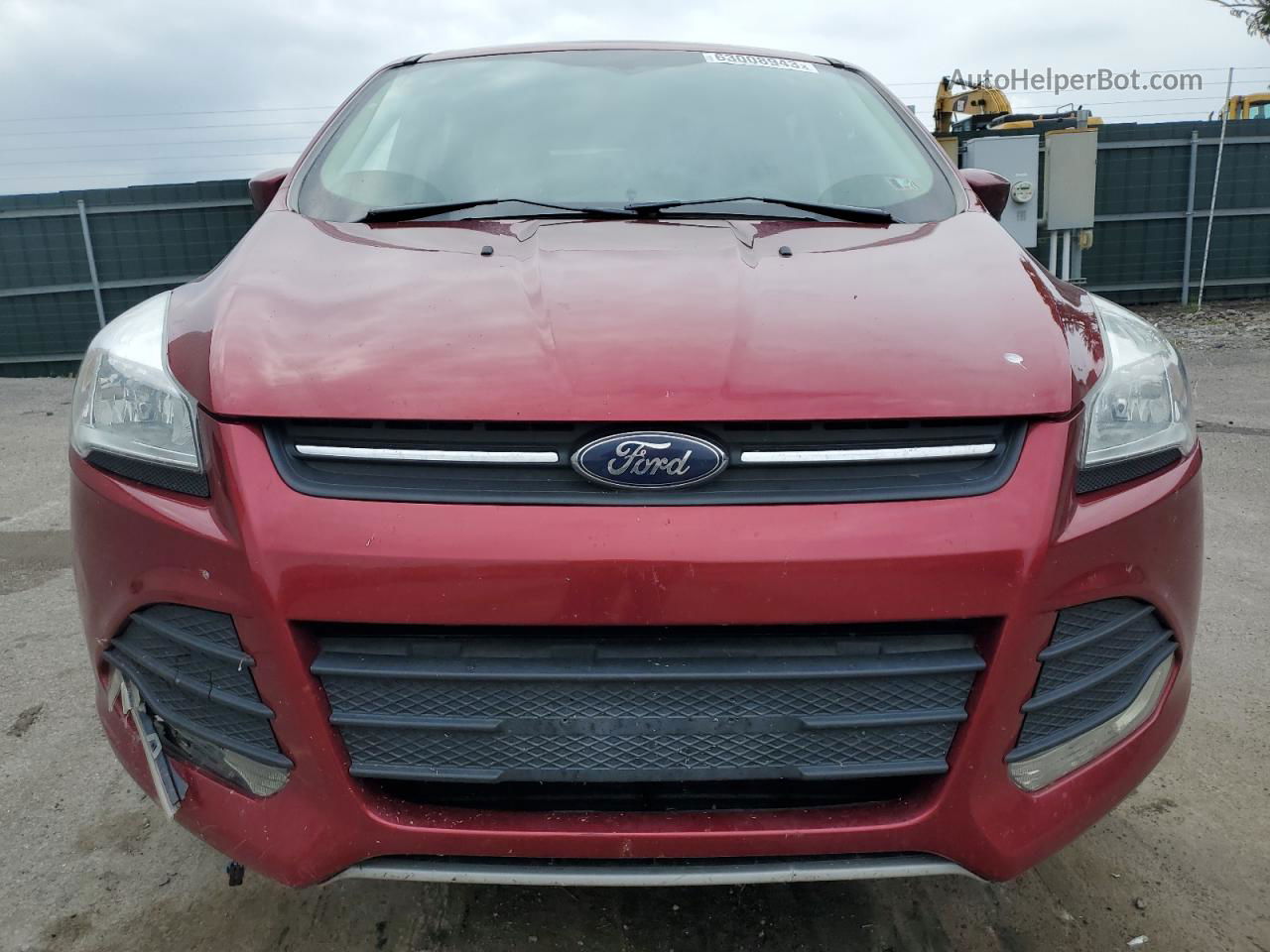 2014 Ford Escape Se Red vin: 1FMCU9GX5EUE32524