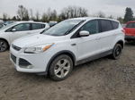 2015 Ford Escape Se White vin: 1FMCU9GX5FUB64205