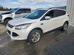 2015 Ford Escape Se Белый vin: 1FMCU9GX5FUC08672