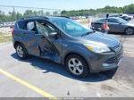 2016 Ford Escape Se Gray vin: 1FMCU9GX5GUB22232