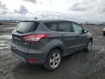 2016 Ford Escape Se Gray vin: 1FMCU9GX5GUB75996