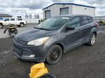 2016 Ford Escape Se Gray vin: 1FMCU9GX5GUB75996