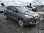 2016 Ford Escape Se Gray vin: 1FMCU9GX5GUB75996