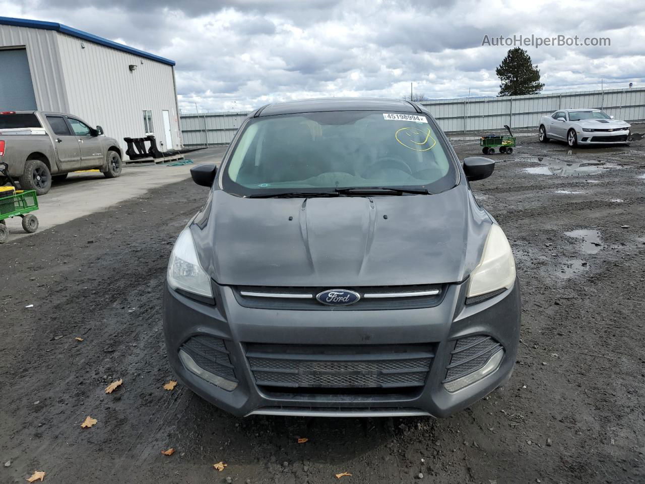 2016 Ford Escape Se Gray vin: 1FMCU9GX5GUB75996