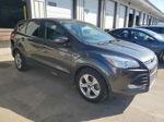 2016 Ford Escape Se Gray vin: 1FMCU9GX5GUC22671