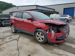 2016 Ford Escape Se Red vin: 1FMCU9GX5GUC32486