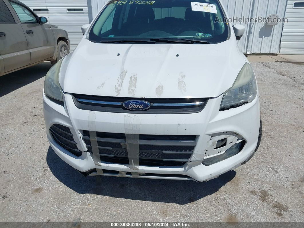 2016 Ford Escape Se White vin: 1FMCU9GX5GUC53533