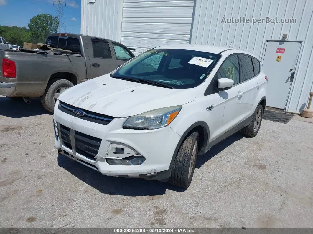 2016 Ford Escape Se White vin: 1FMCU9GX5GUC53533