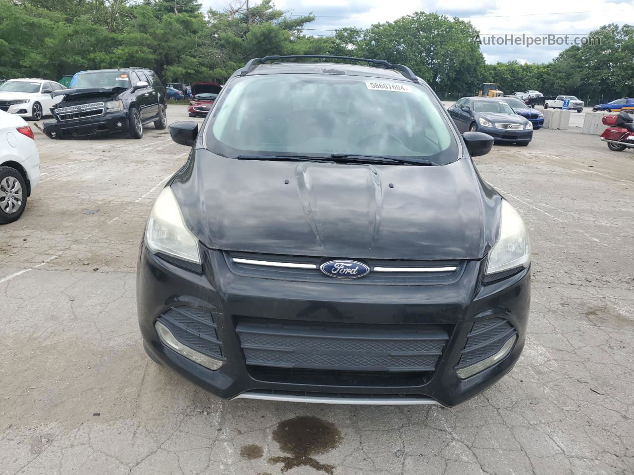 2013 Ford Escape Black vin: 1FMCU9GX6DUA38352