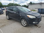 2013 Ford Escape Black vin: 1FMCU9GX6DUA38352