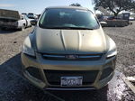 2013 Ford Escape Se Зеленый vin: 1FMCU9GX6DUA56995