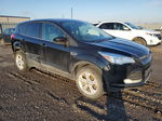 2013 Ford Escape Se Black vin: 1FMCU9GX6DUD20829