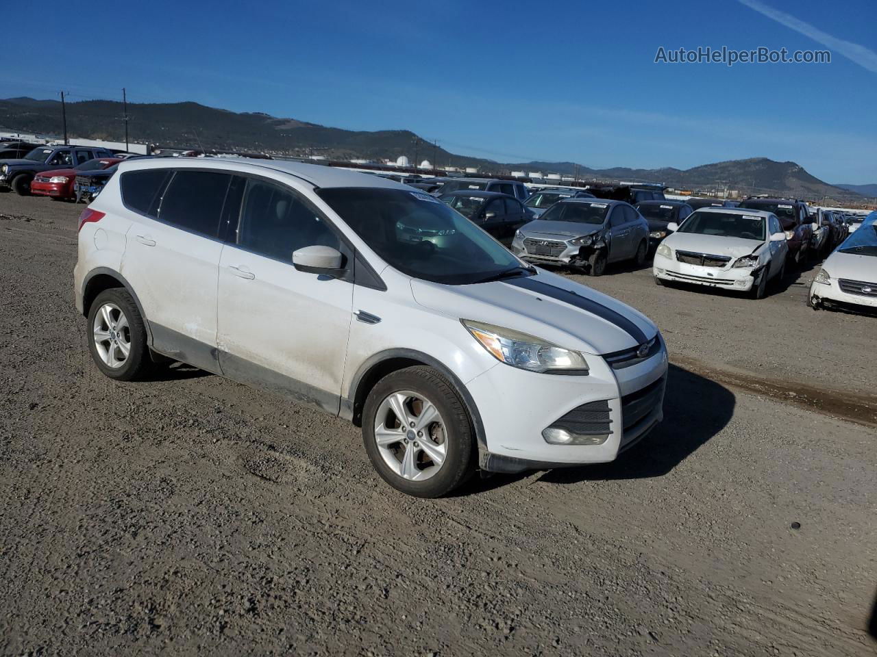 2014 Ford Escape Se Белый vin: 1FMCU9GX6EUA38515