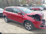 2014 Ford Escape Se Red vin: 1FMCU9GX6EUB37089