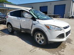 2014 Ford Escape Se White vin: 1FMCU9GX6EUD15390