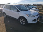 2014 Ford Escape Se Белый vin: 1FMCU9GX6EUD18600