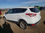 2014 Ford Escape Se White vin: 1FMCU9GX6EUD18600