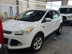 2014 Ford Escape Se vin: 1FMCU9GX6EUD33145