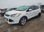 2015 Ford Escape Se Белый vin: 1FMCU9GX6FUA42758