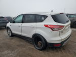 2015 Ford Escape Se Белый vin: 1FMCU9GX6FUA42758