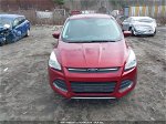 2016 Ford Escape Se Красный vin: 1FMCU9GX6GUB85176