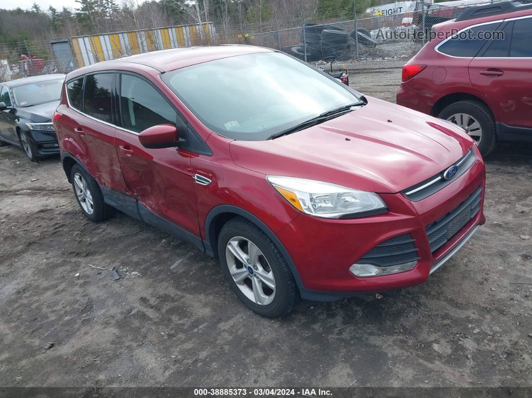 2016 Ford Escape Se Красный vin: 1FMCU9GX6GUB85176