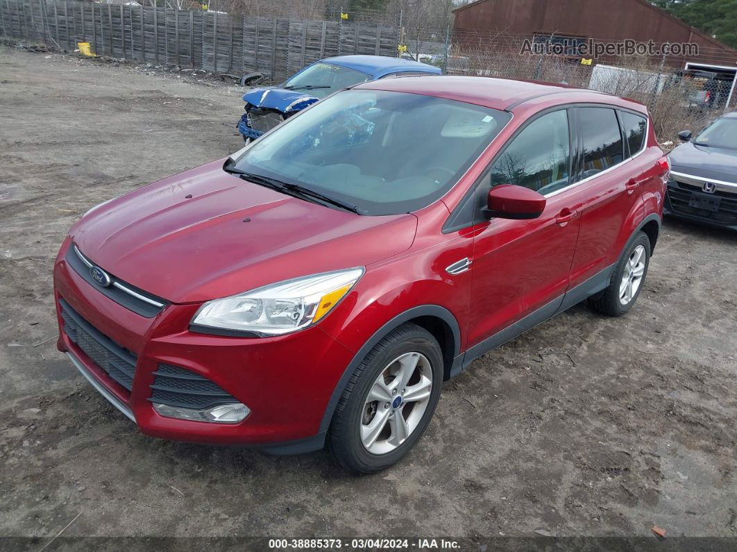 2016 Ford Escape Se Красный vin: 1FMCU9GX6GUB85176