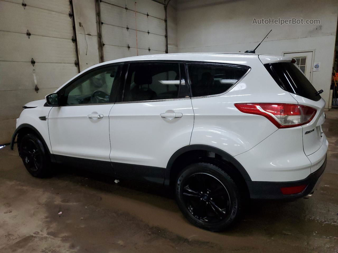 2016 Ford Escape Se White vin: 1FMCU9GX6GUC38202