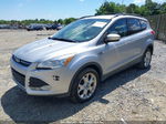 2013 Ford Escape Se Серебряный vin: 1FMCU9GX7DUB91192