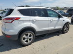 2014 Ford Escape Se Белый vin: 1FMCU9GX7EUA77260