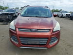 2014 Ford Escape Se Оранжевый vin: 1FMCU9GX7EUB90559