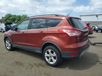 2014 Ford Escape Se Оранжевый vin: 1FMCU9GX7EUB90559