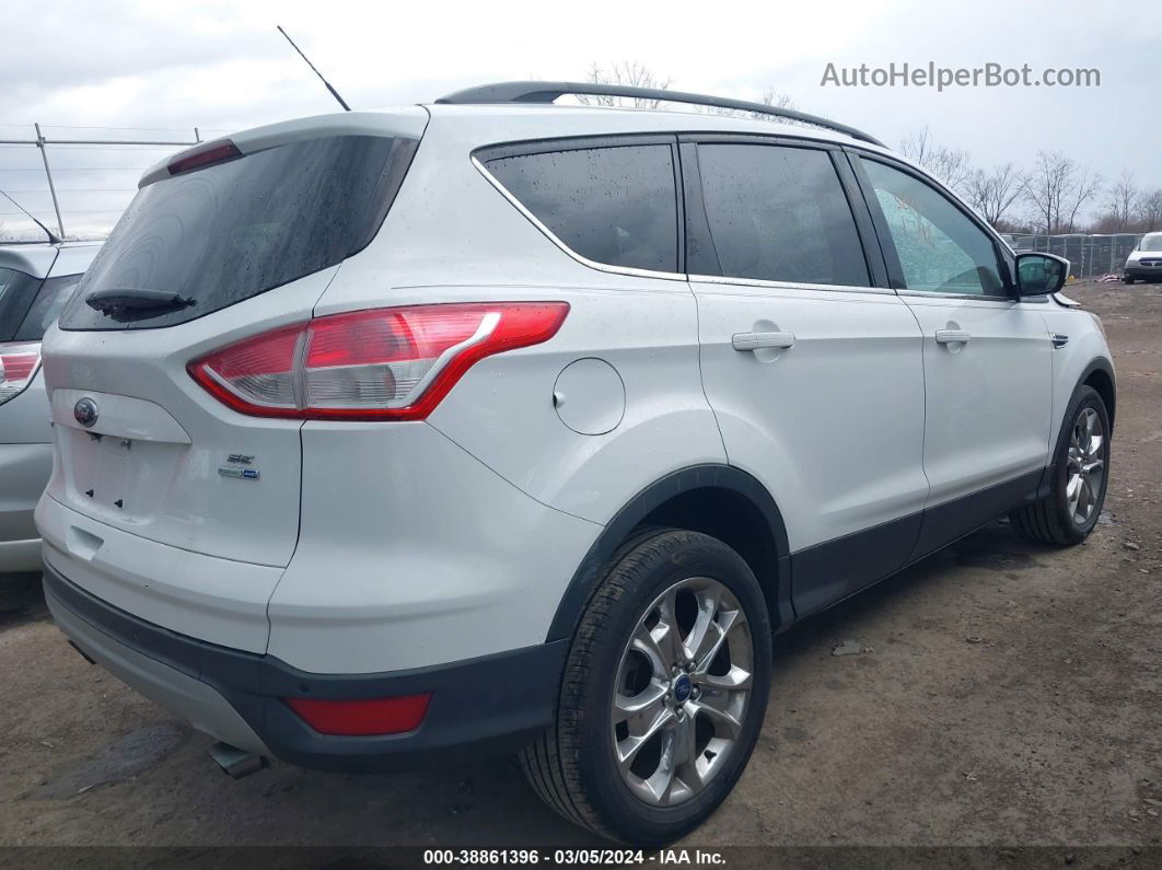 2014 Ford Escape Se Белый vin: 1FMCU9GX7EUC23267