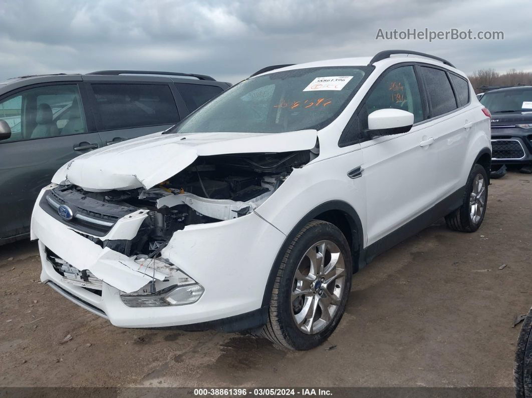 2014 Ford Escape Se White vin: 1FMCU9GX7EUC23267