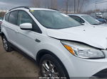 2014 Ford Escape Se White vin: 1FMCU9GX7EUC23267