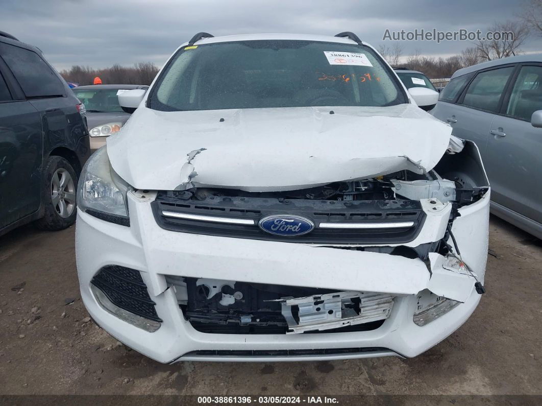 2014 Ford Escape Se White vin: 1FMCU9GX7EUC23267