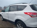 2014 Ford Escape Se Белый vin: 1FMCU9GX7EUC23267