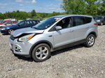 2014 Ford Escape Se Silver vin: 1FMCU9GX7EUE44870