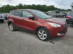 2015 Ford Escape Se Red vin: 1FMCU9GX7FUB02093