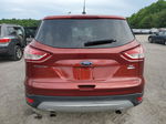 2015 Ford Escape Se Red vin: 1FMCU9GX7FUB02093