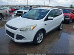 2015 Ford Escape Se Белый vin: 1FMCU9GX7FUB09058