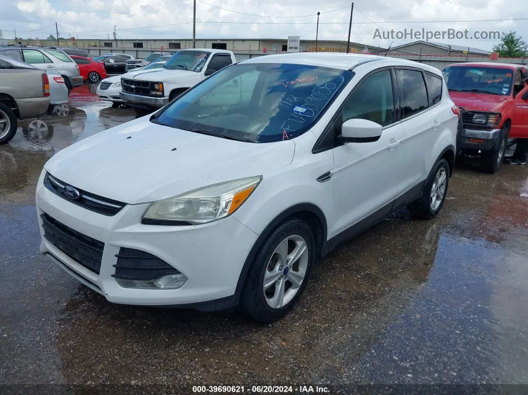 2015 Ford Escape Se White vin: 1FMCU9GX7FUB09058