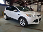 2015 Ford Escape Se White vin: 1FMCU9GX7FUC30902