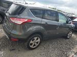 2015 Ford Escape Se Gray vin: 1FMCU9GX7FUC79209