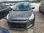 2015 Ford Escape Se Gray vin: 1FMCU9GX7FUC79209