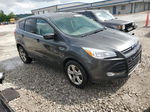 2015 Ford Escape Se Gray vin: 1FMCU9GX7FUC79209