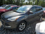 2016 Ford Escape Se Gray vin: 1FMCU9GX7GUA71557