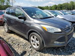 2016 Ford Escape Se Gray vin: 1FMCU9GX7GUA71557