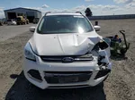 2016 Ford Escape Se White vin: 1FMCU9GX7GUB08333