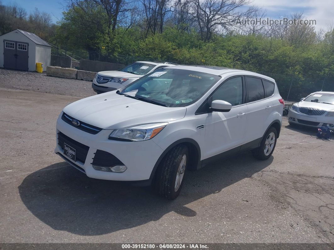 2016 Ford Escape Se White vin: 1FMCU9GX7GUB28436